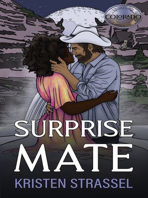 cover image of Surprise Mate